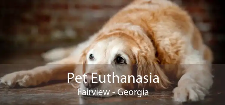 Pet Euthanasia Fairview - Georgia