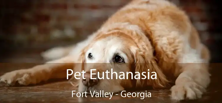 Pet Euthanasia Fort Valley - Georgia