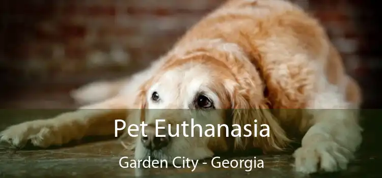 Pet Euthanasia Garden City - Georgia