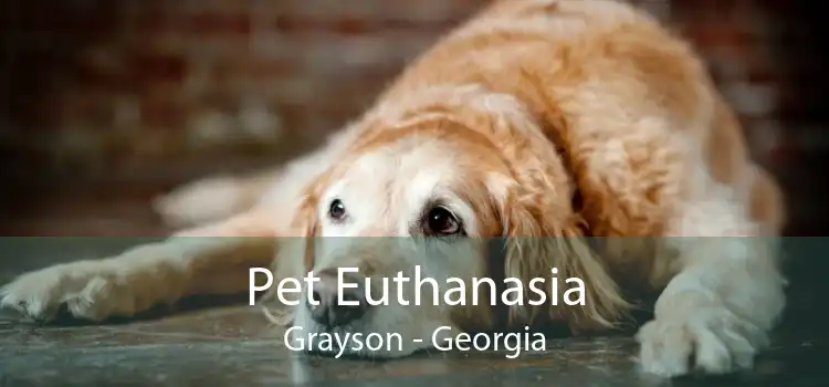 Pet Euthanasia Grayson - Georgia