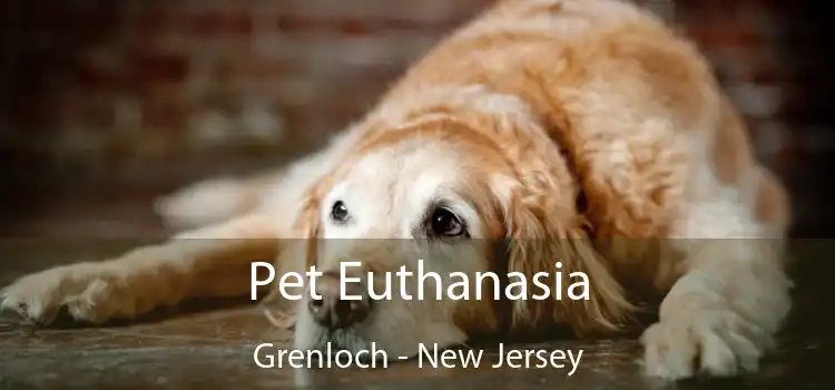 Pet Euthanasia Grenloch - New Jersey