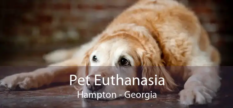 Pet Euthanasia Hampton - Georgia