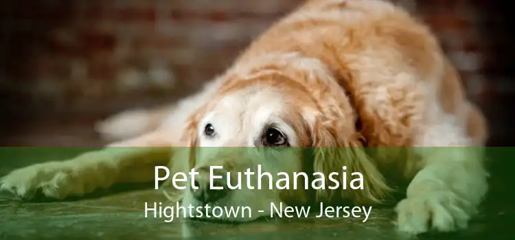 Pet Euthanasia Hightstown - New Jersey