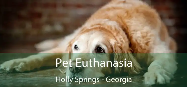 Pet Euthanasia Holly Springs - Georgia