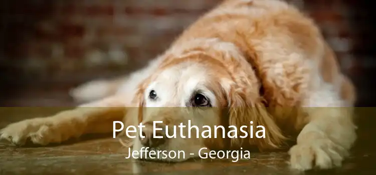 Pet Euthanasia Jefferson - Georgia