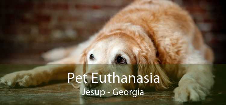 Pet Euthanasia Jesup - Georgia