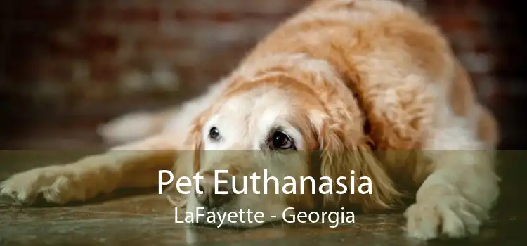 Pet Euthanasia LaFayette - Georgia