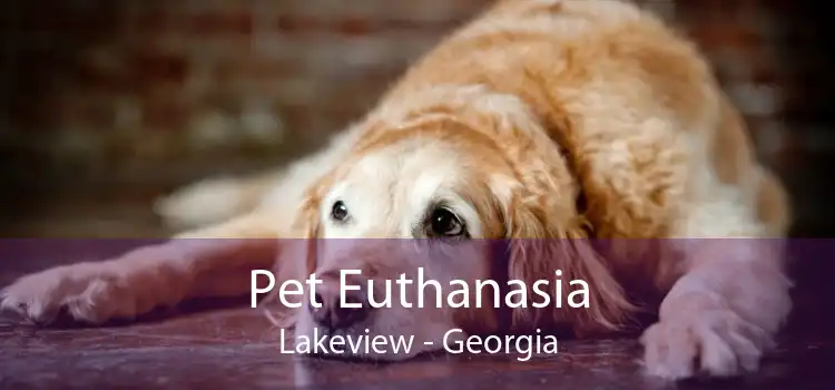 Pet Euthanasia Lakeview - Georgia