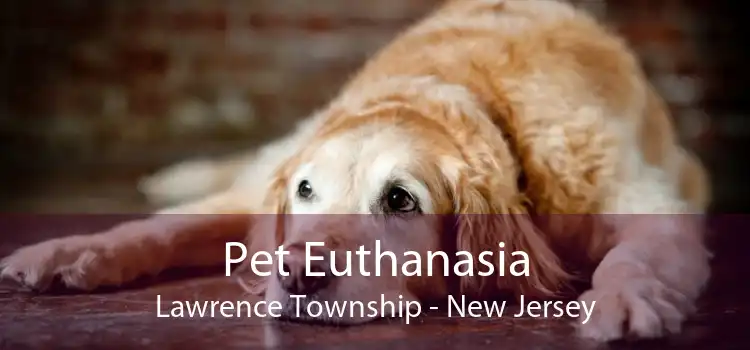Pet Euthanasia Lawrence Township - New Jersey