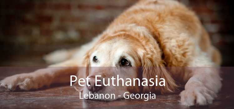 Pet Euthanasia Lebanon - Georgia
