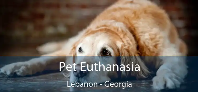 Pet Euthanasia Lebanon - Georgia