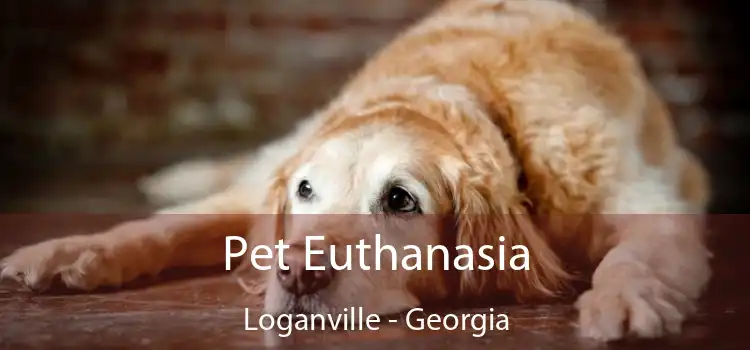Pet Euthanasia Loganville - Georgia