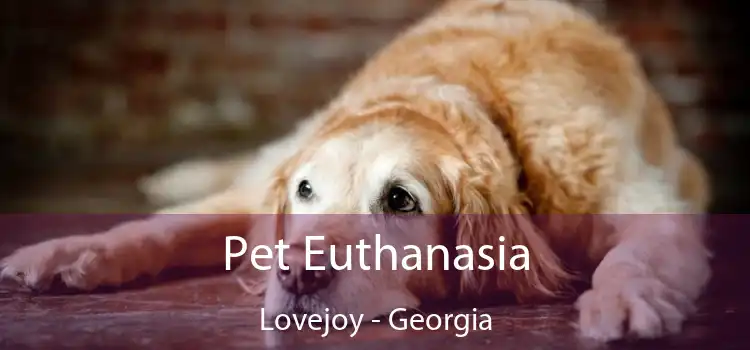 Pet Euthanasia Lovejoy - Georgia