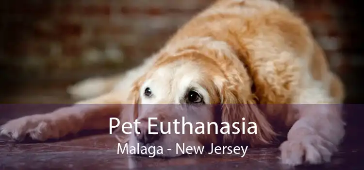 Pet Euthanasia Malaga - New Jersey