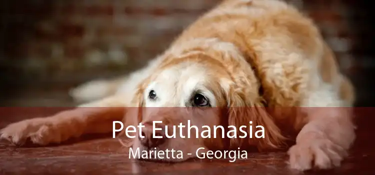 Pet Euthanasia Marietta - Georgia