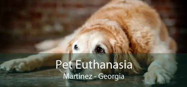Pet Euthanasia Martinez - Georgia