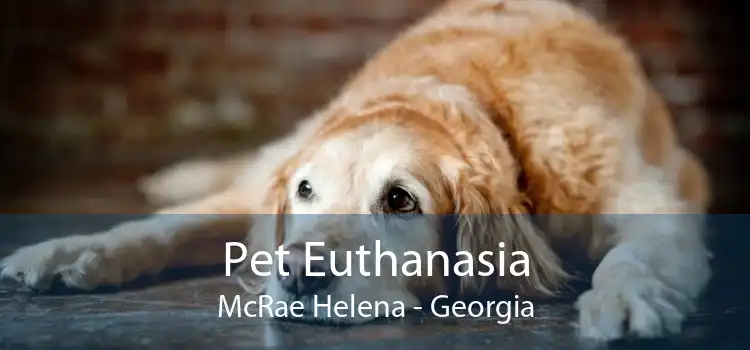 Pet Euthanasia McRae Helena - Georgia