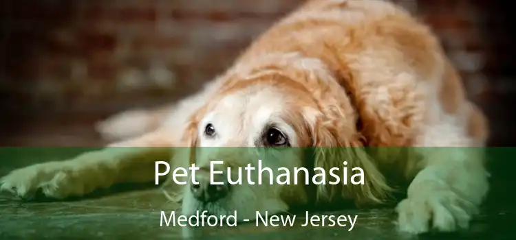 Pet Euthanasia Medford - New Jersey