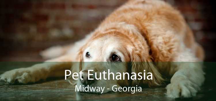 Pet Euthanasia Midway - Georgia