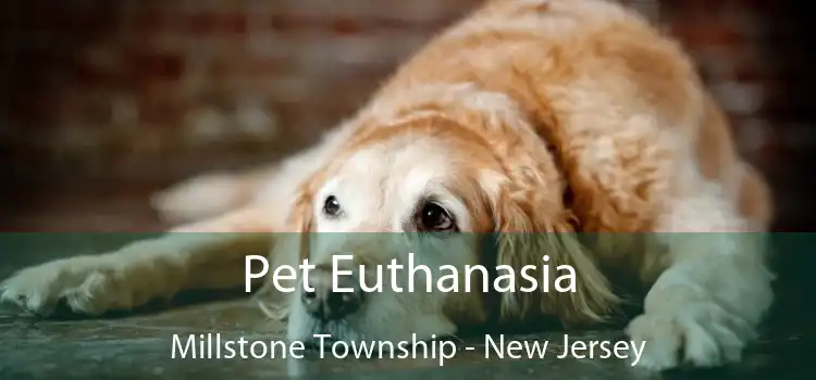 Pet Euthanasia Millstone Township - New Jersey