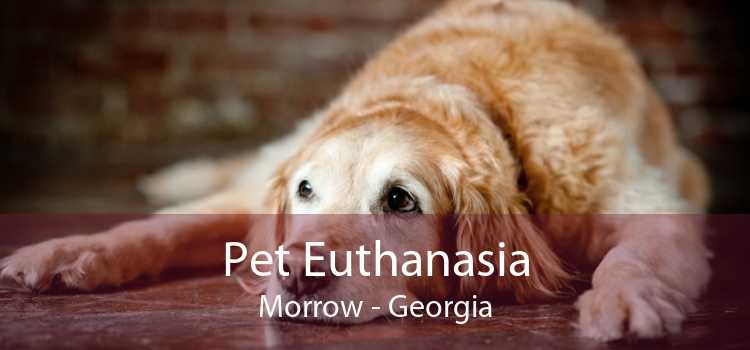 Pet Euthanasia Morrow - Georgia