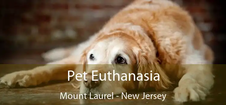 Pet Euthanasia Mount Laurel - New Jersey