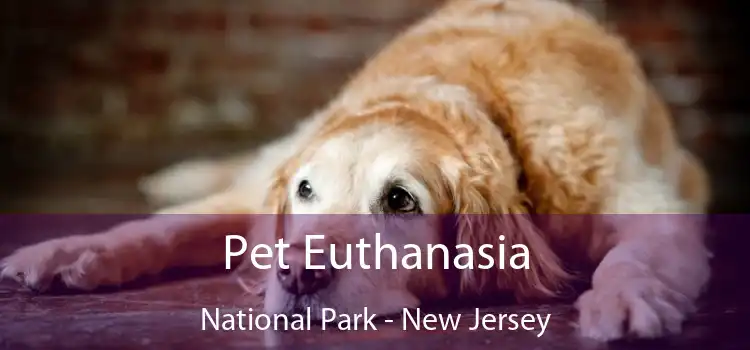 Pet Euthanasia National Park - New Jersey