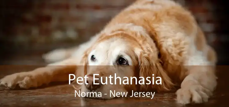 Pet Euthanasia Norma - New Jersey