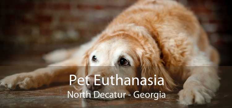 Pet Euthanasia North Decatur - Georgia
