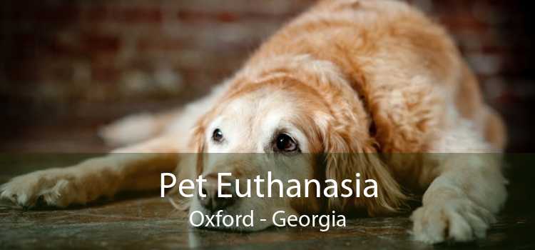 Pet Euthanasia Oxford - Georgia