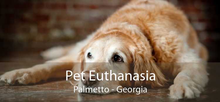 Pet Euthanasia Palmetto - Georgia