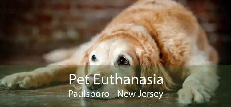 Pet Euthanasia Paulsboro - New Jersey