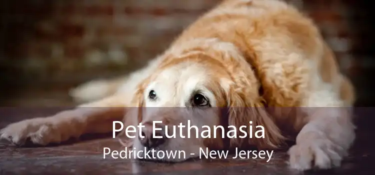 Pet Euthanasia Pedricktown - New Jersey