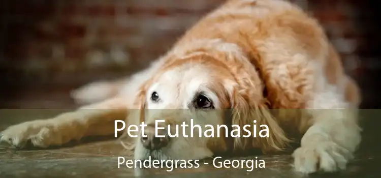 Pet Euthanasia Pendergrass - Georgia
