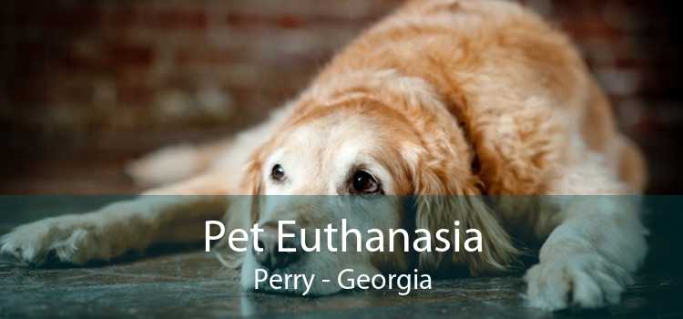 Pet Euthanasia Perry - Georgia