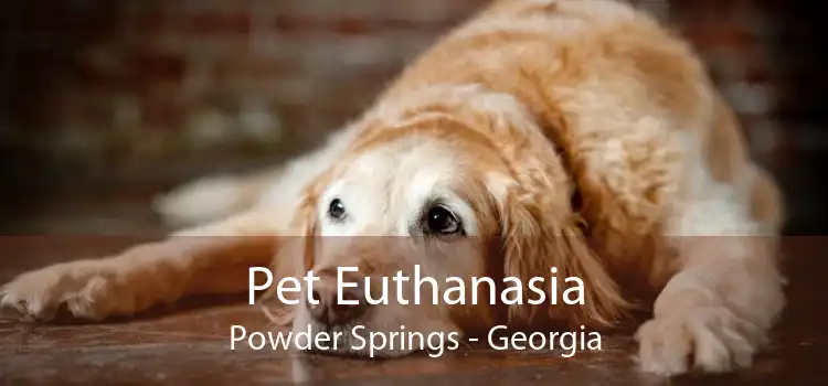Pet Euthanasia Powder Springs - Georgia
