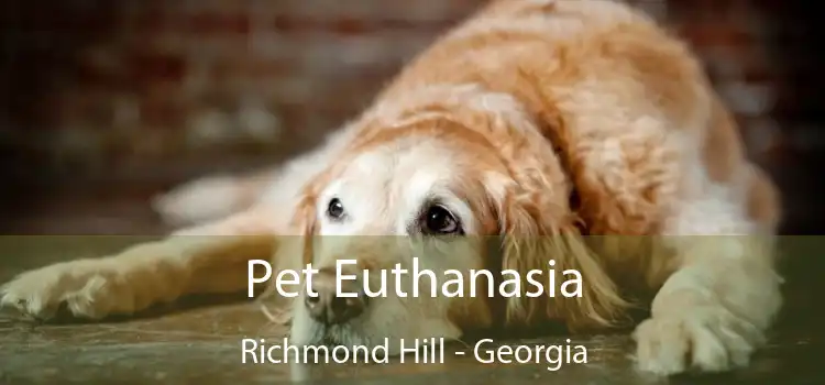 Pet Euthanasia Richmond Hill - Georgia