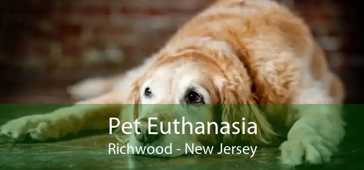 Pet Euthanasia Richwood - New Jersey