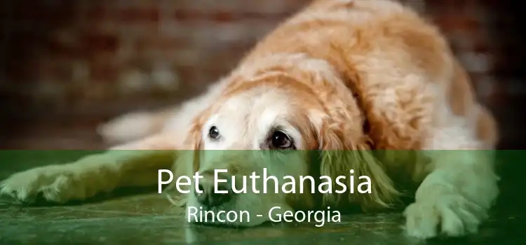 Pet Euthanasia Rincon - Georgia