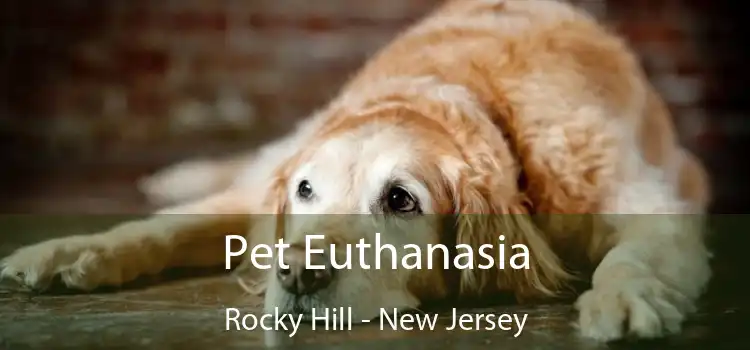 Pet Euthanasia Rocky Hill - New Jersey