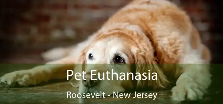 Pet Euthanasia Roosevelt - New Jersey