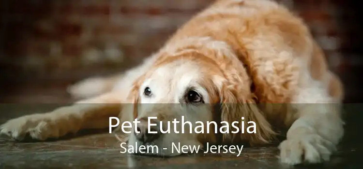 Pet Euthanasia Salem - New Jersey
