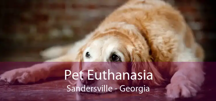 Pet Euthanasia Sandersville - Georgia
