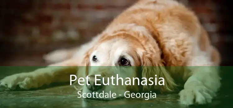 Pet Euthanasia Scottdale - Georgia