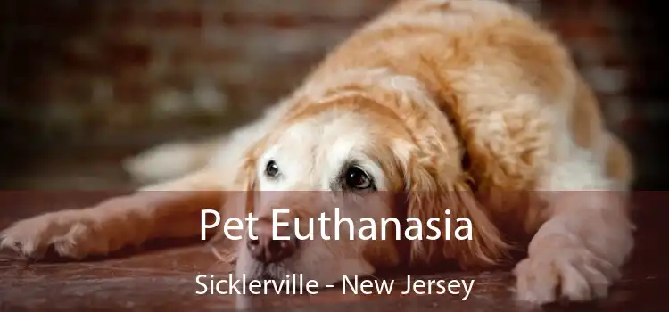 Pet Euthanasia Sicklerville - New Jersey