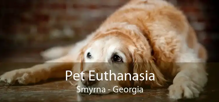 Pet Euthanasia Smyrna - Georgia