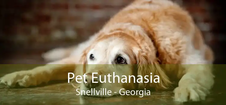 Pet Euthanasia Snellville - Georgia