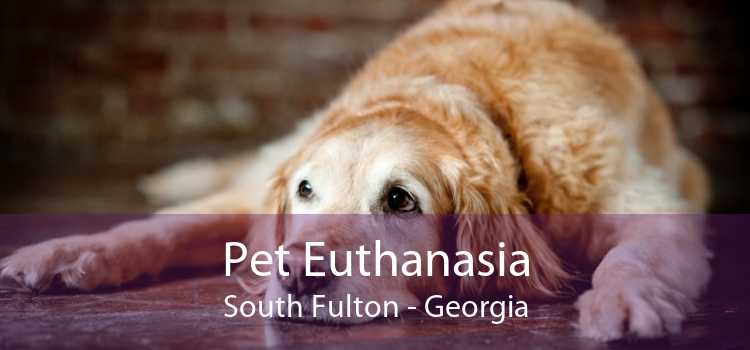 Pet Euthanasia South Fulton - Georgia