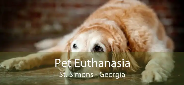 Pet Euthanasia St. Simons - Georgia
