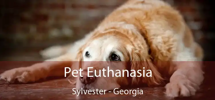 Pet Euthanasia Sylvester - Georgia